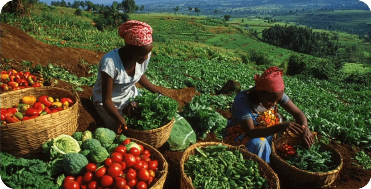 Agribusiness & Farmer Services use case